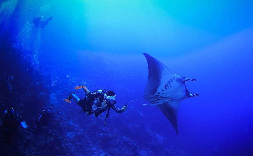 Diving Experiences | Jeddah | 08:15GA