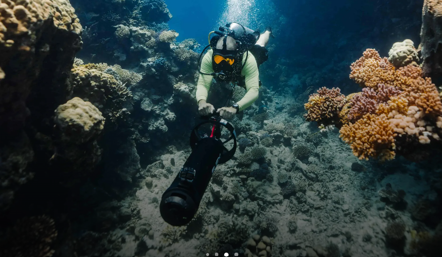 Single dive experience