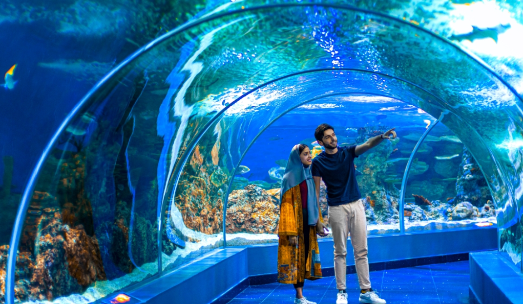 Aquarium