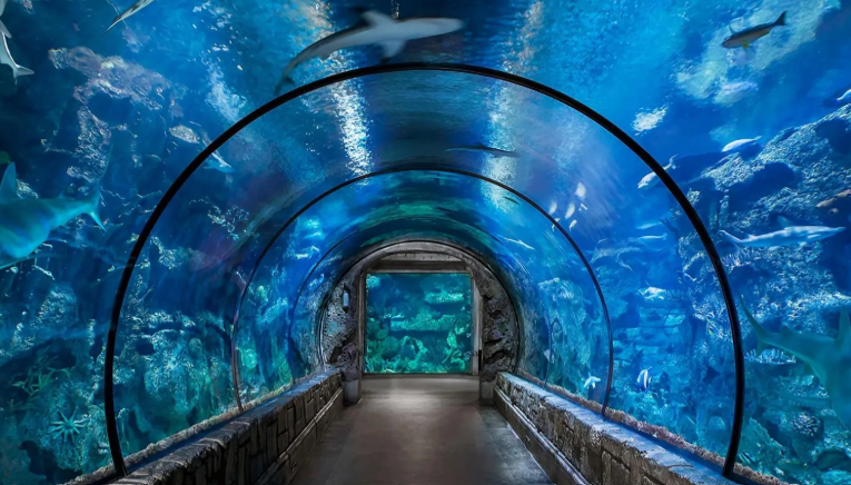 Aquarium