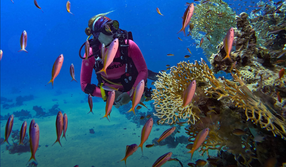 Single Dive Experience