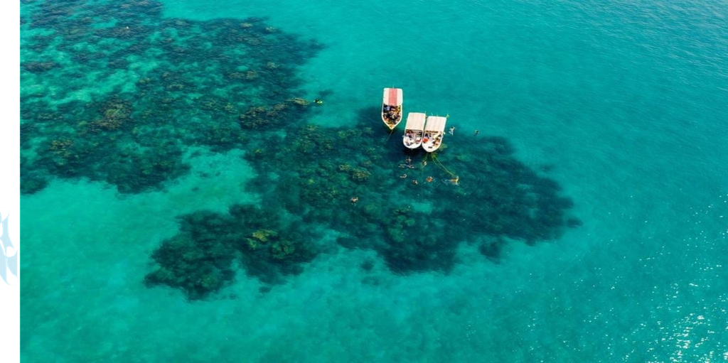Diving Experiences