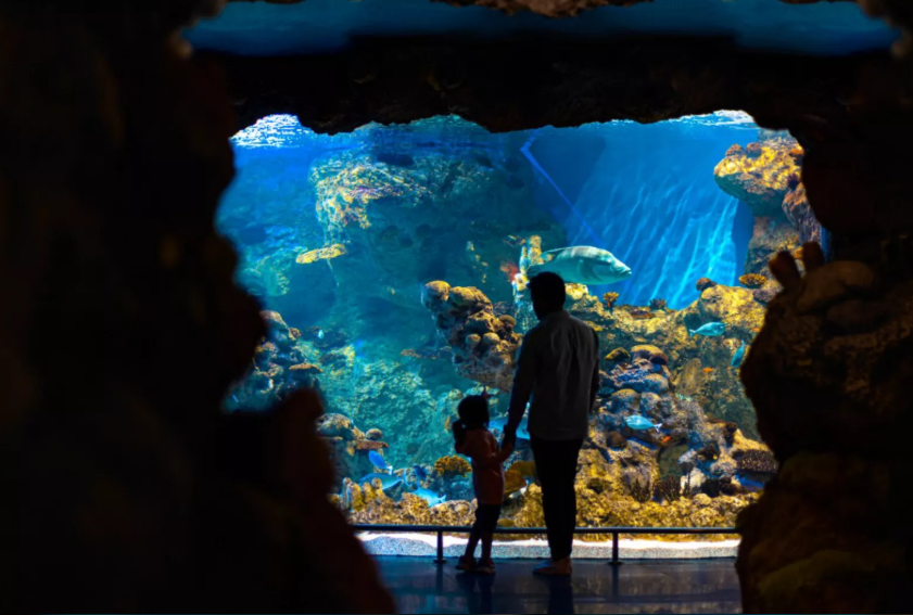 Aquarium