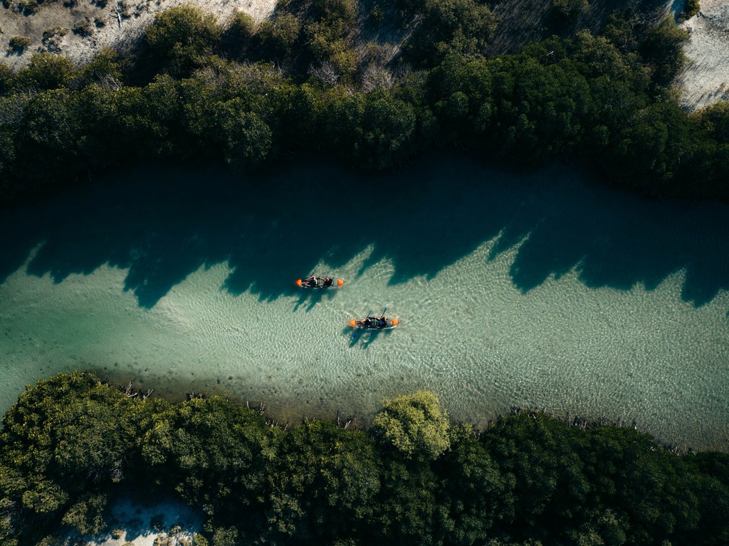 Find Your Oasis Elegance
