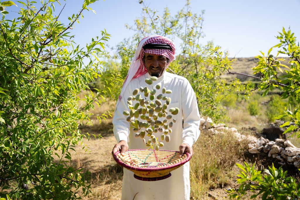 Al Bahah Tour