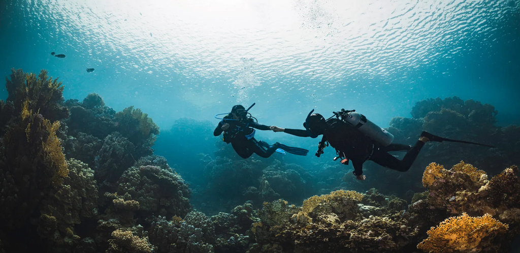 North Triangle Expedition