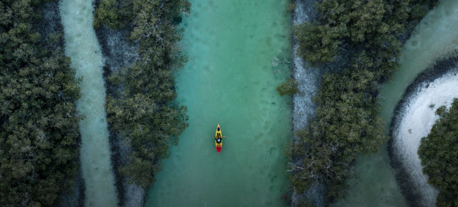 Kayak Experience