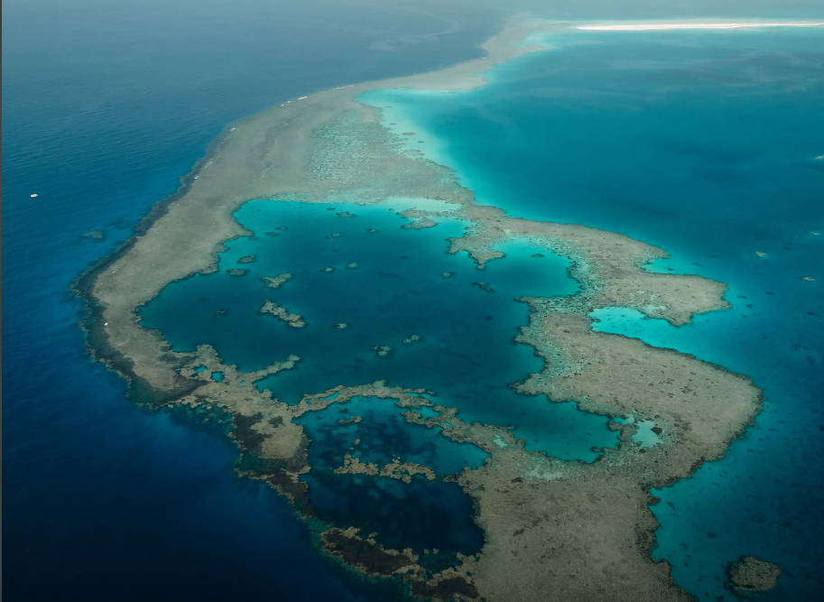 Snorkeling Experience | Red Sea | 1 Guest | GA