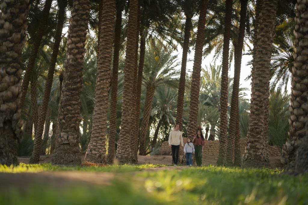 Discover AlUla From Above