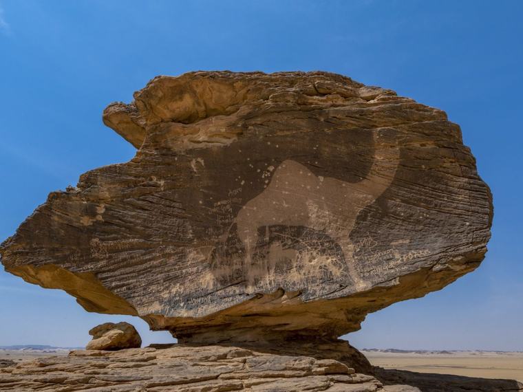 Discover Najran