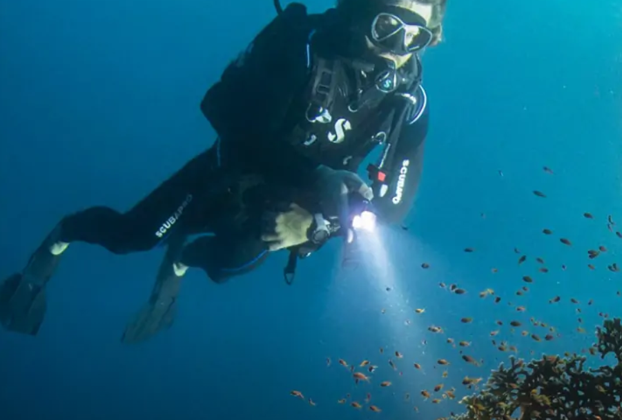 Single Night Dive Experience