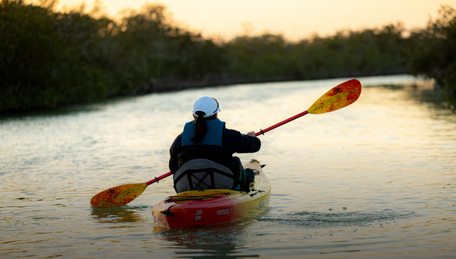 Kayak Experience