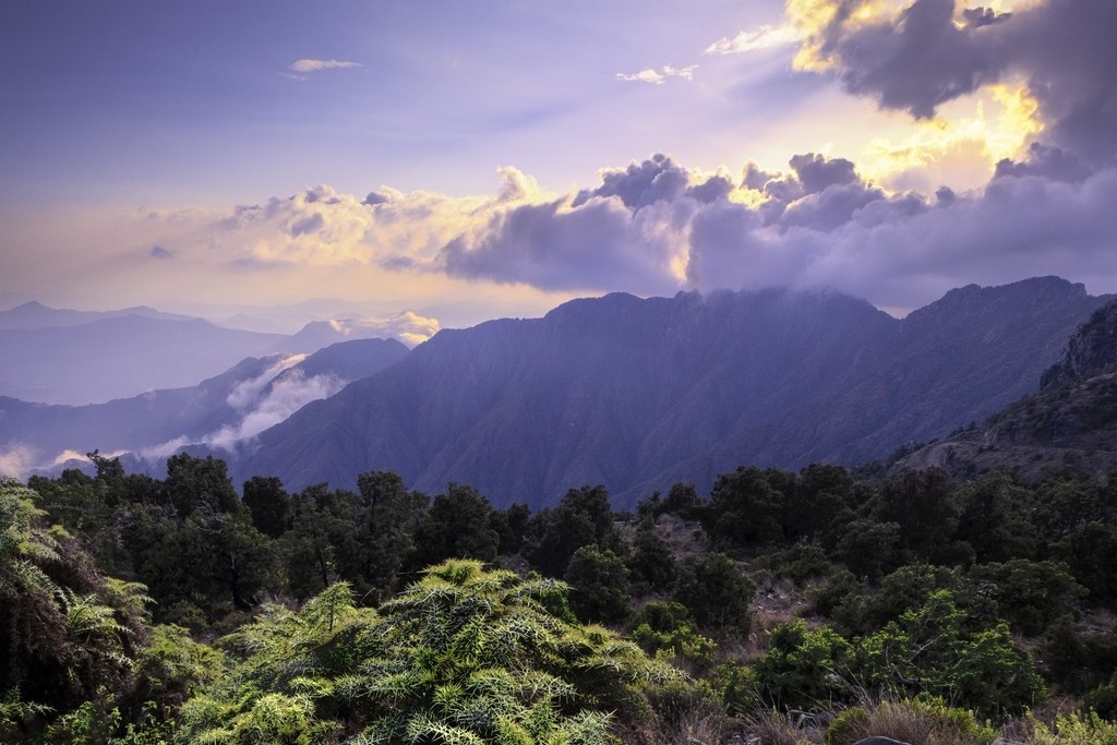 Tanomah Peaks Adventure