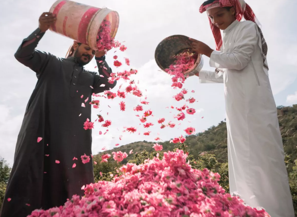 Taif Rose
