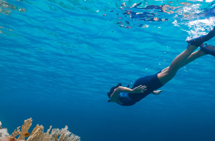 Snorkeling Experience