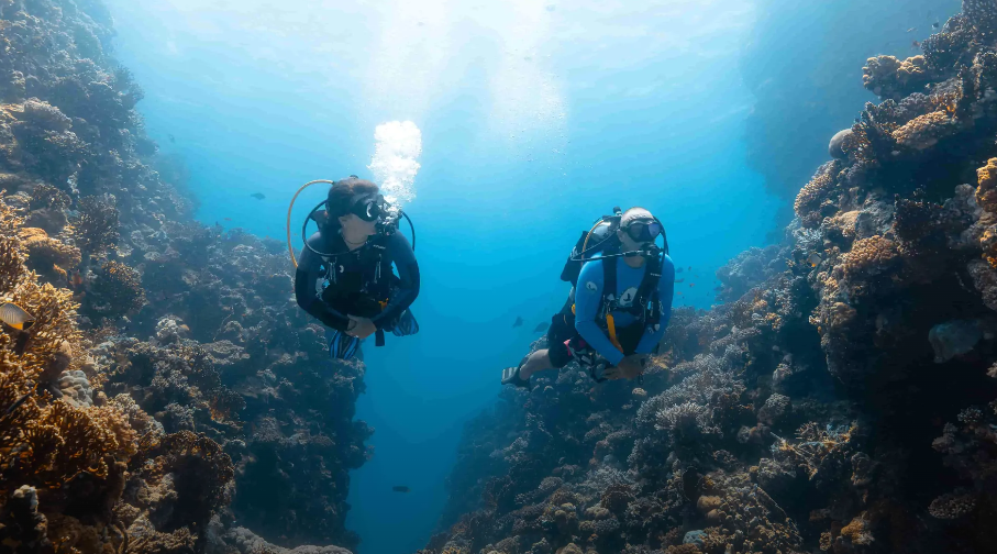 Scuba Diving Excursions