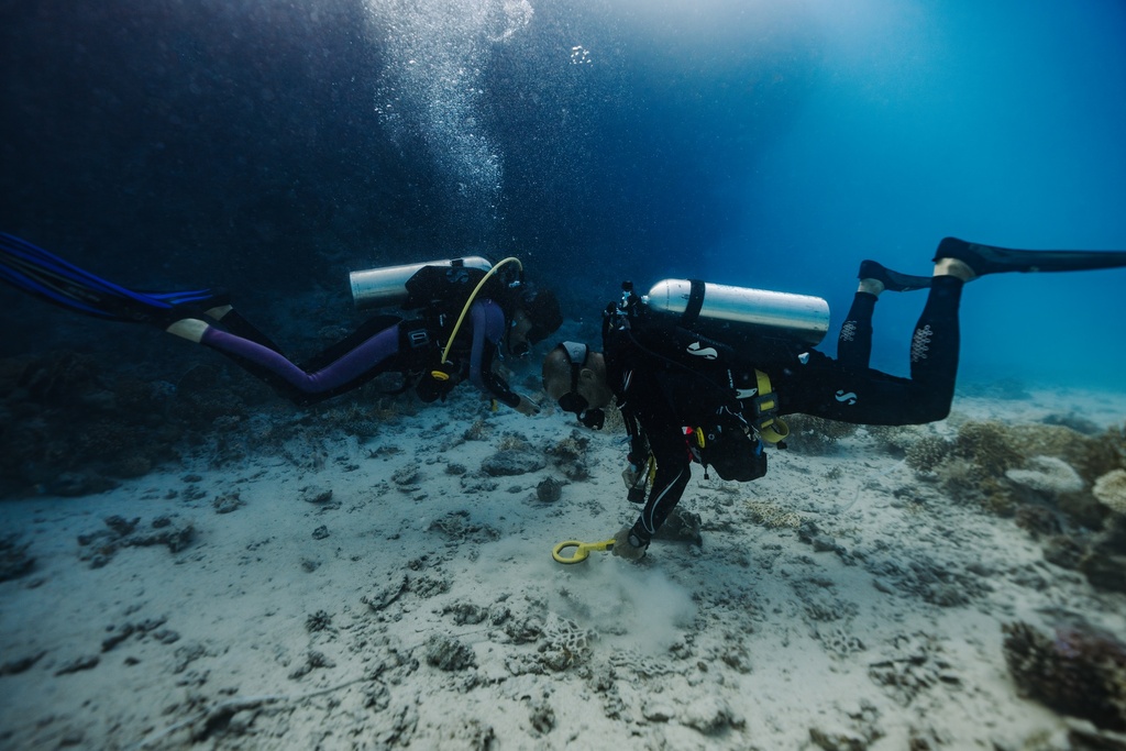 Entry Level Scuba Diving Experiences and Courses