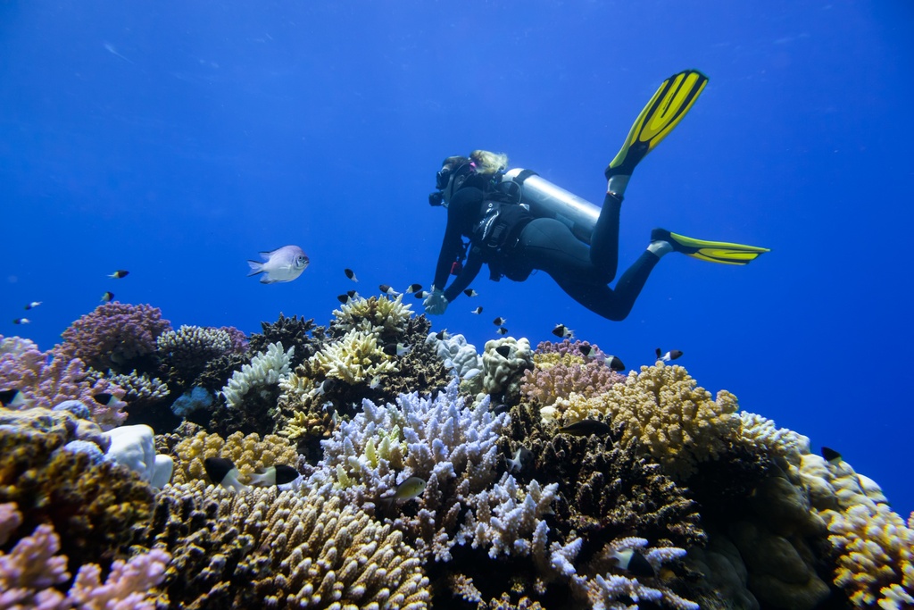 Advanced Diving Courses