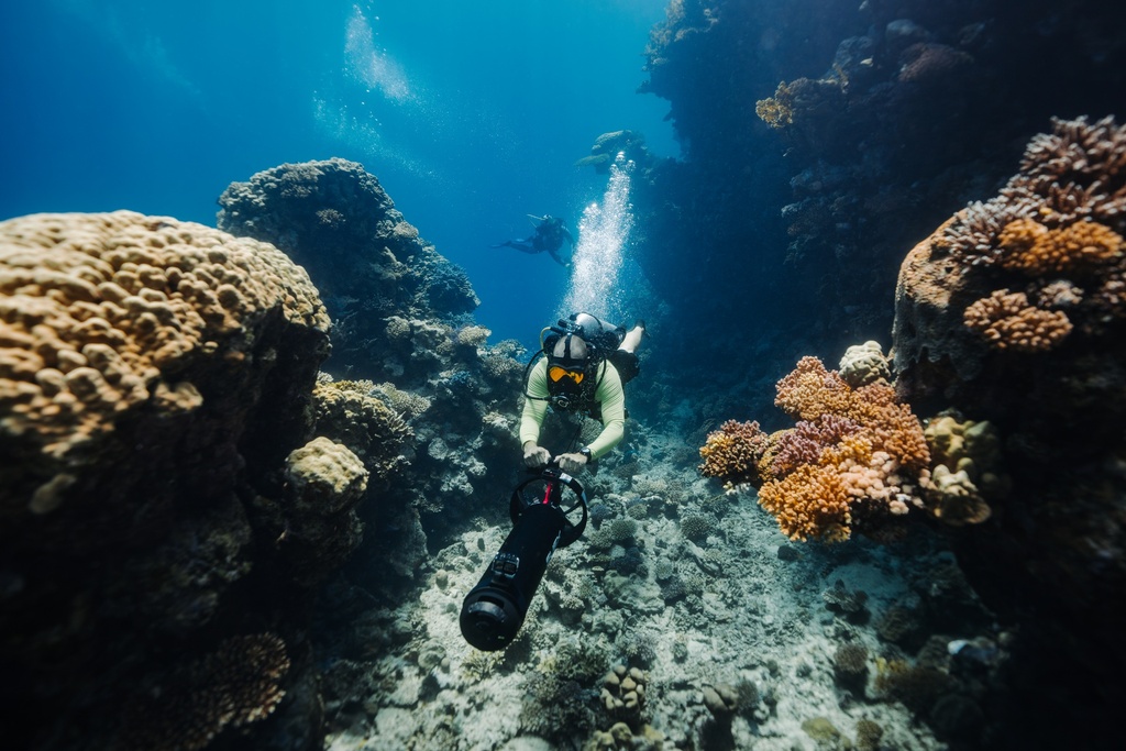 Diving Specialty Courses