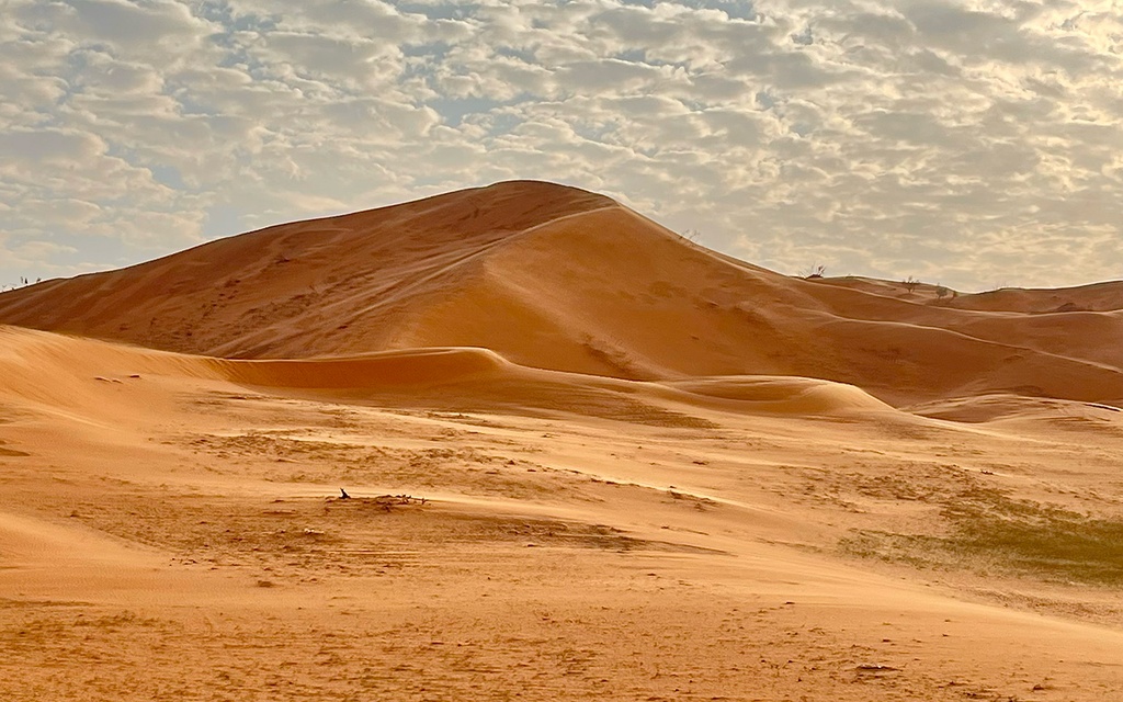Al Nufud Desert