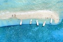 Boat Trip Jazan Island