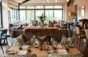 Fish Hospitality Restaurant