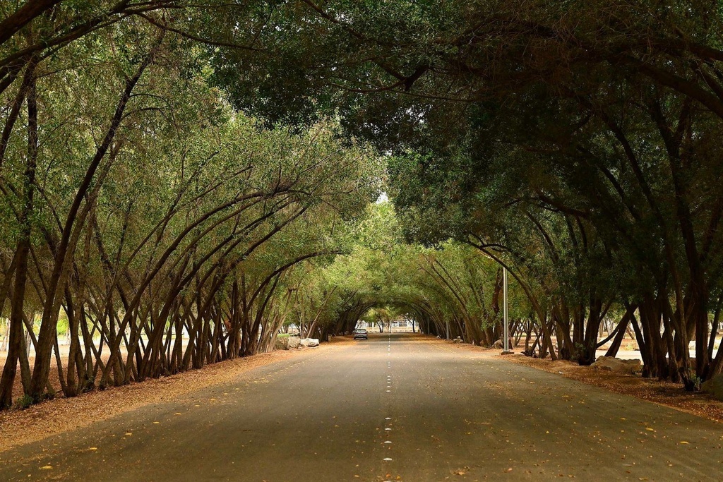 King Fahad Park