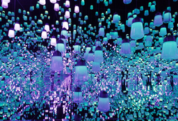 TeamLab Museum
