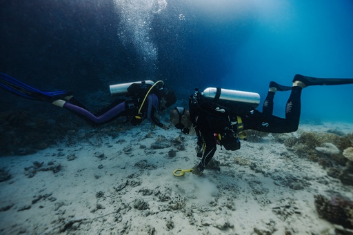 Entry Level Scuba Diving Experiences and Courses