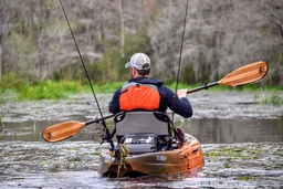Kayak Experience