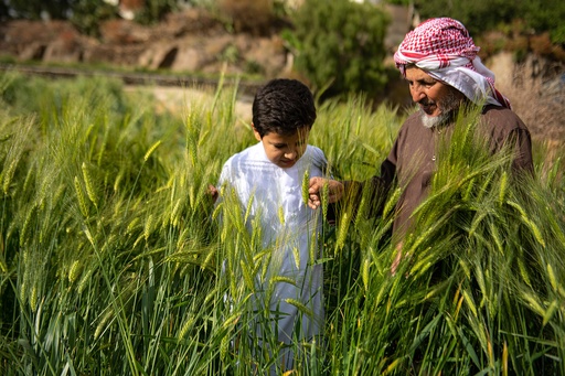 Seeding Workshop Experiences Liwan Farm