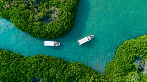 [D020294] Farasan Island Trip