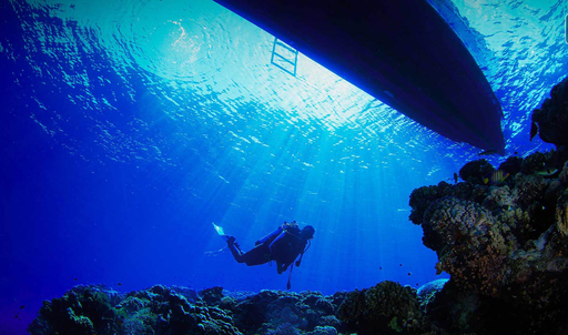 Diving Experiences