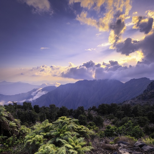 Tanomah Peaks Adventure