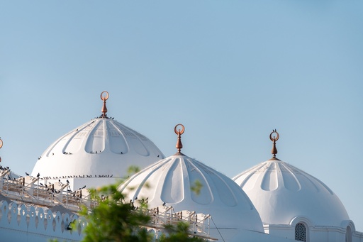 [D1071204] Masjid Al Quba