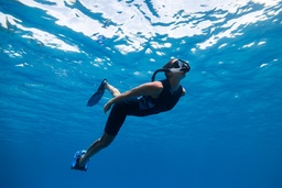 Snorkeling Experience For Beginners