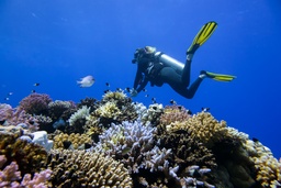 Advanced Diving Courses