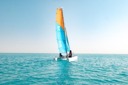 Sailing Catamaran