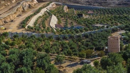 Zituna Farm