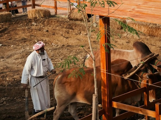 Farm Experience