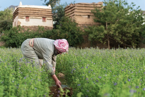 Strawberry Picking Experience at Liwan Farm