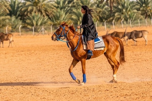 Horse Riding