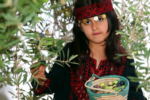 [A10105] The Al Jouf Olive Farm