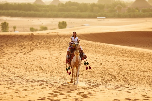 [D020273] Camel Riding Desert Safari