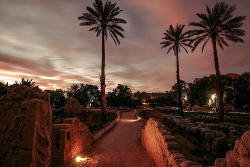 [D020274] Oasis Heritage Trail Tour